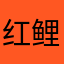 红鲤鱼、