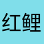 红鲤鱼与绿鲤鱼与驴与诗与远方
