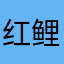 红鲤鱼在北京