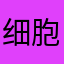 细胞质12345