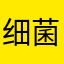 细菌繁殖