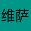 维萨里奇