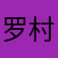 罗村揸Fit人