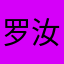 罗汝斌