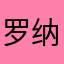 罗纳尔多迪尼奥