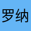 罗纳尔多4