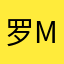 罗 Mr