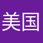 美国咨询