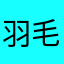 羽毛婷婷