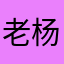 老杨是拐子