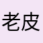 老皮666111222000