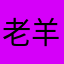 老羊的一生