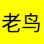 老鸟依人