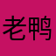 老鸭不加粉丝