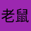 老鼠很可爱