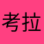 考拉2005