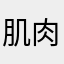 肌肉小泰迪