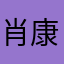 肖康社会