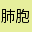 肺胞肺胞