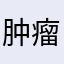 肿瘤学主任