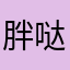 胖哒5.0