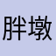 胖墩飞