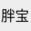 胖宝的宝