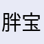 胖宝说