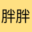 胖胖啊辉