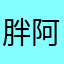 胖阿姨专营店