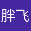 胖飞行员