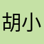 胡小丫1988