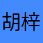 胡梓依