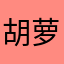 胡萝卜硬币手链海