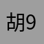 胡90萝定往29