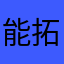 能拓电力股份有限公司