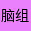 脑组织开展活动时间