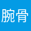 腕骨骼