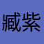 臧紫珺