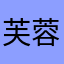 芙蓉花回归