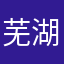 芜湖起飞sz