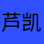 芦凯旋