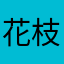 花枝水母