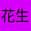 花生喵leona