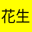 花生豆3404