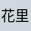 花里胡哨嚯嚯