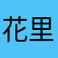 花里胡哨小君君
