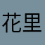 花里胡哨的H