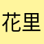 花里胡哨008