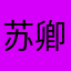 苏卿卿x x